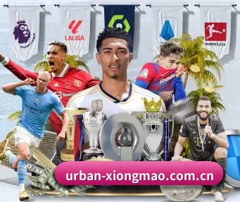 urban-xiongmao.com.cn APP